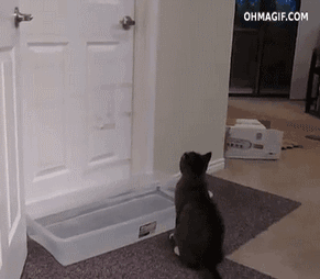 Acid Gifdump, February 15, 2017 (25 gifs)