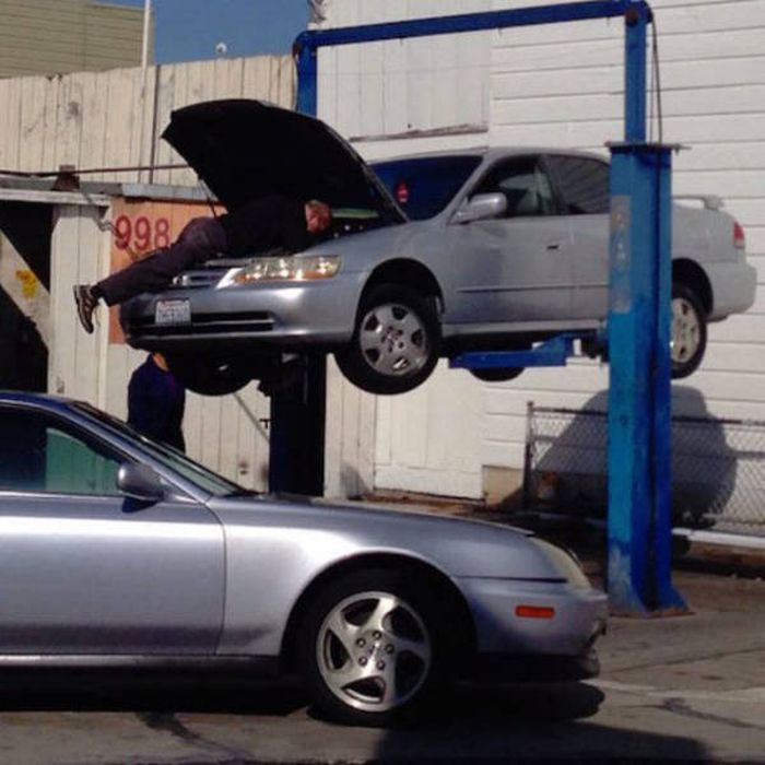 Natural Selection Is What The World Really Needs Right Now (30 pics)