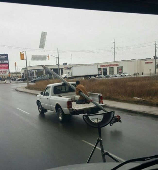 Natural Selection Is What The World Really Needs Right Now (30 pics)