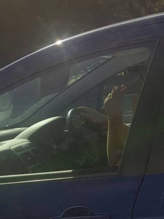 Natural Selection Is What The World Really Needs Right Now (30 pics)