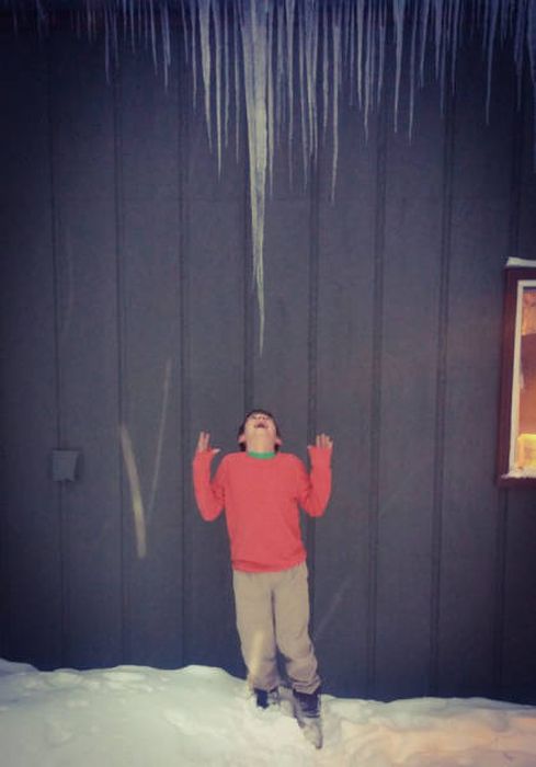 Natural Selection Is What The World Really Needs Right Now (30 pics)