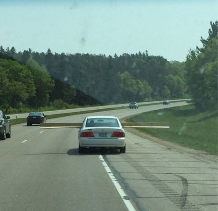 Natural Selection Is What The World Really Needs Right Now (30 pics)