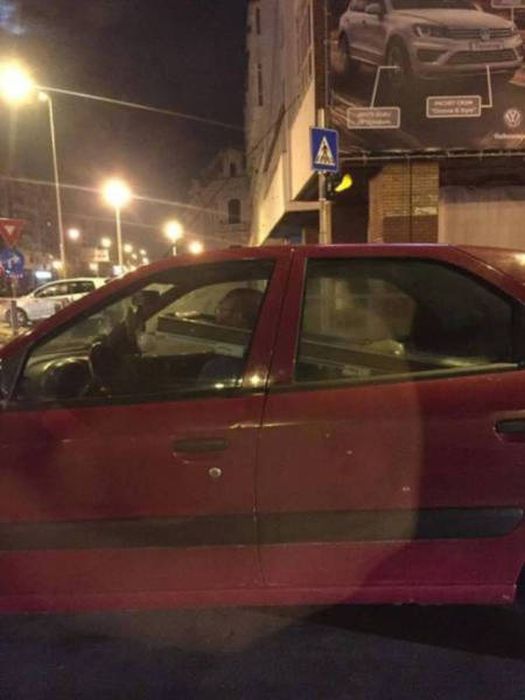 Natural Selection Is What The World Really Needs Right Now (30 pics)