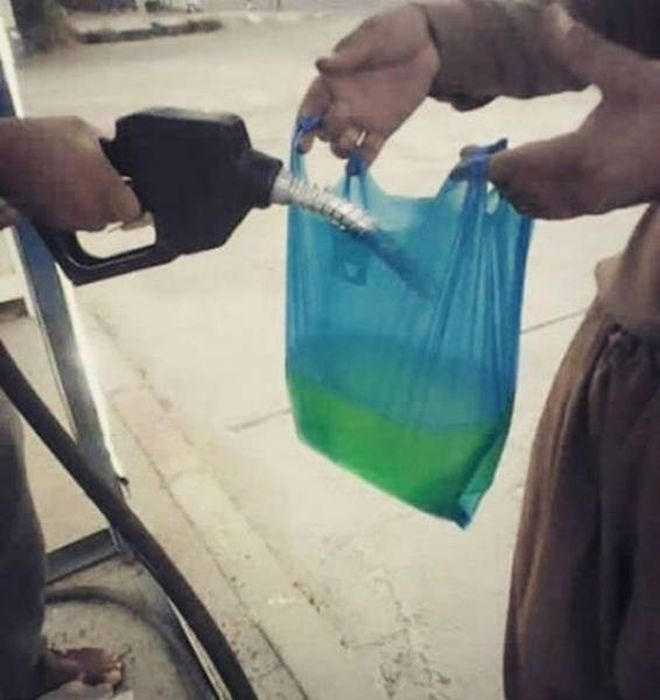 Natural Selection Is What The World Really Needs Right Now (30 pics)