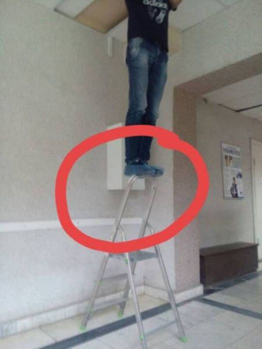 Natural Selection Is What The World Really Needs Right Now (30 pics)