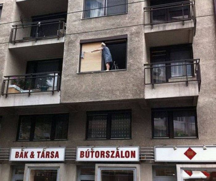 Natural Selection Is What The World Really Needs Right Now (30 pics)
