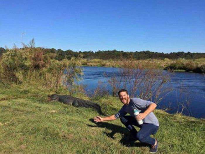 Natural Selection Is What The World Really Needs Right Now (30 pics)