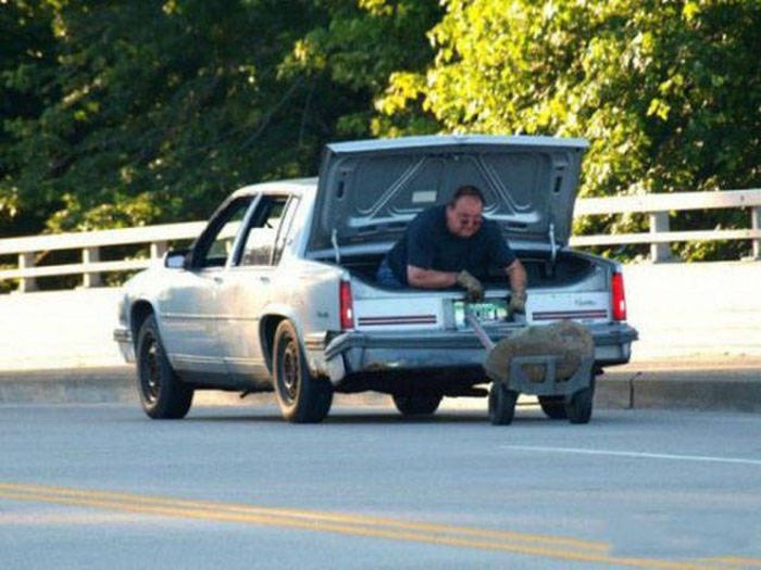 Natural Selection Is What The World Really Needs Right Now (30 pics)