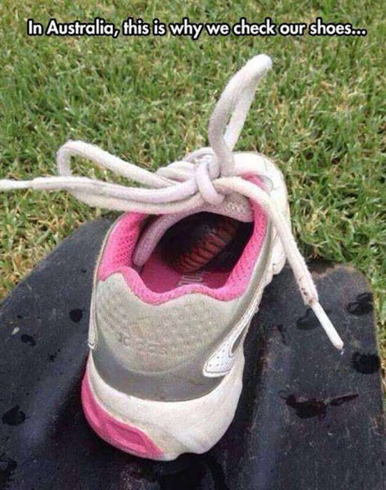 Why Australia Is Such A Controversial Place (35 pics)