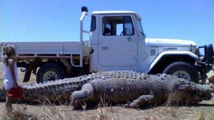 Why Australia Is Such A Controversial Place (35 pics)