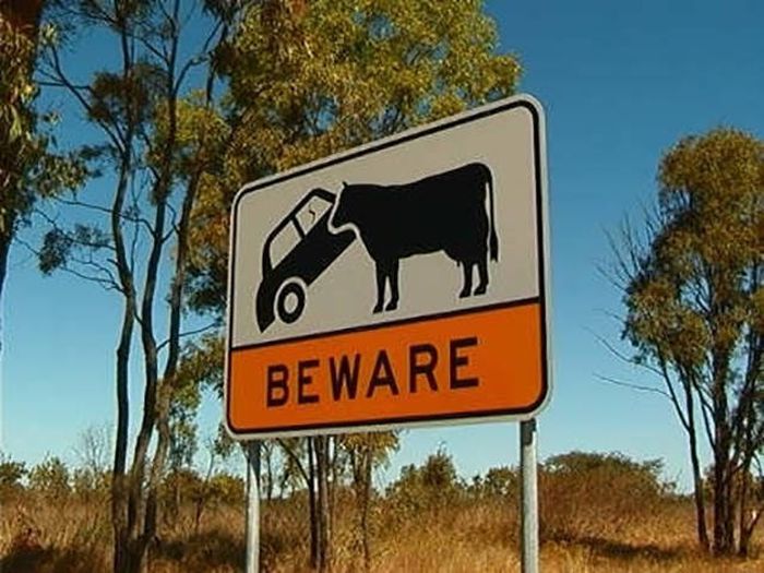 Why Australia Is Such A Controversial Place (35 pics)