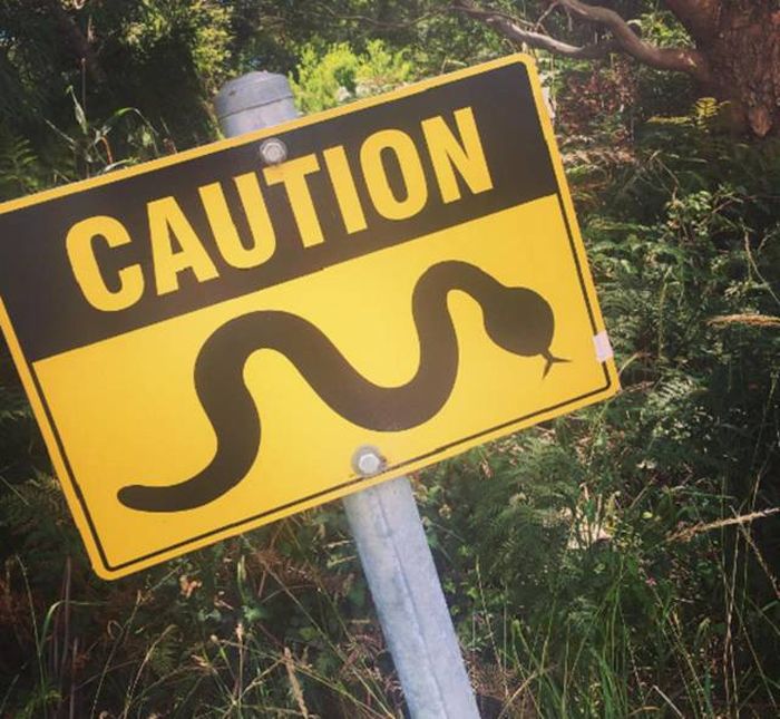 Why Australia Is Such A Controversial Place (35 pics)