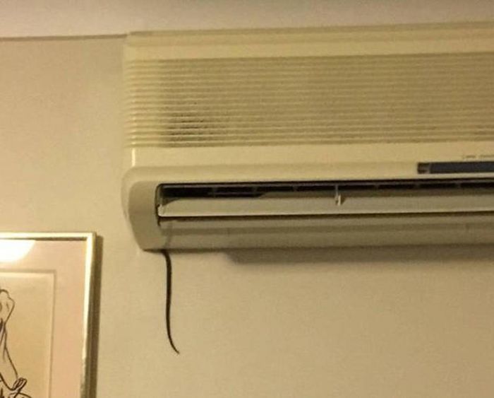 Why Australia Is Such A Controversial Place (35 pics)