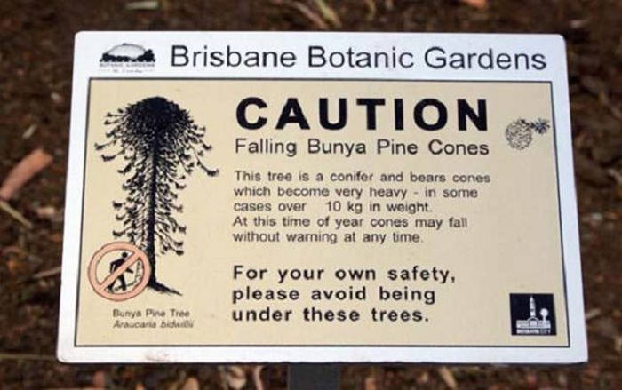 Why Australia Is Such A Controversial Place (35 pics)