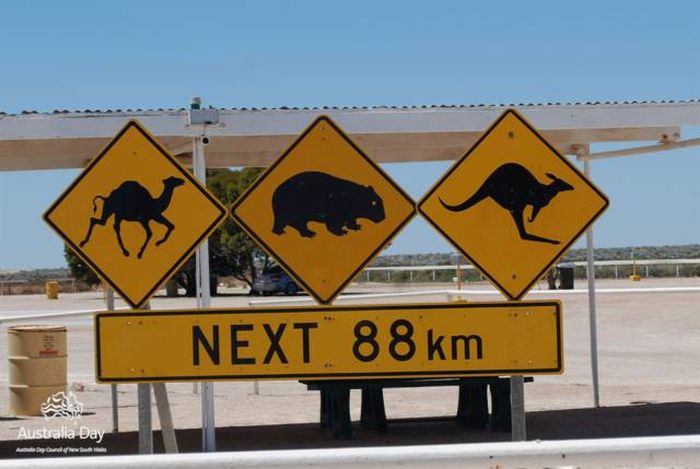 Why Australia Is Such A Controversial Place (35 pics)