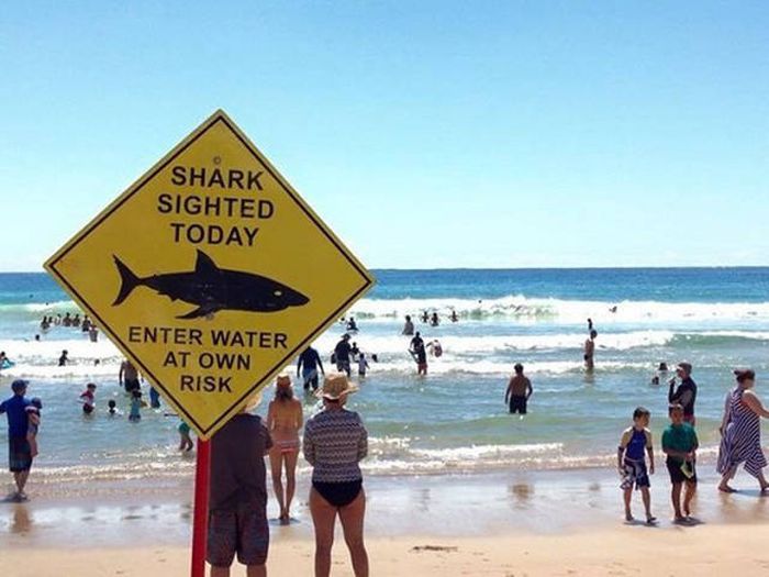 Why Australia Is Such A Controversial Place (35 pics)
