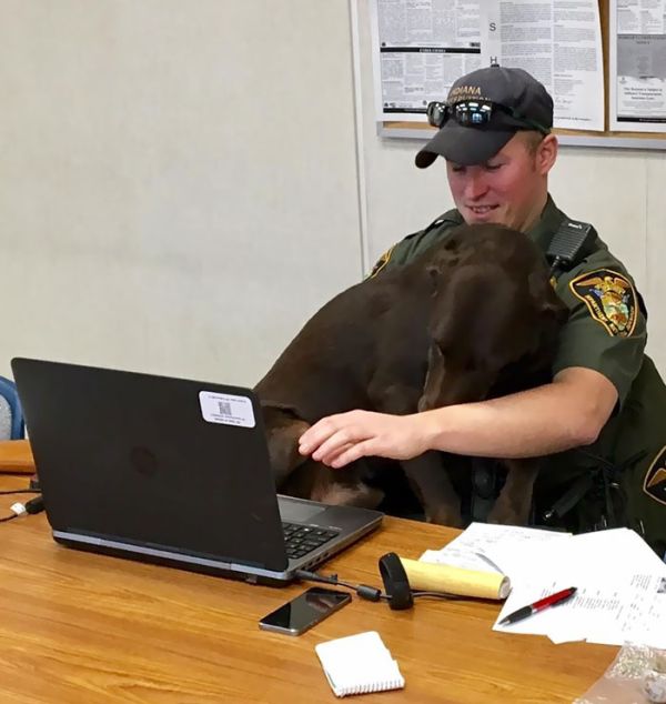 K9 Cop Won't Stop Kissing His Partner (5 pics)