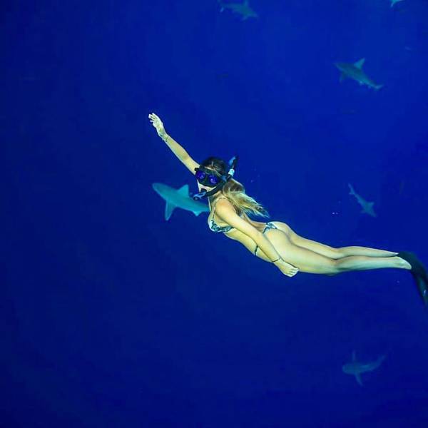 Bali Sharks (10 pics)