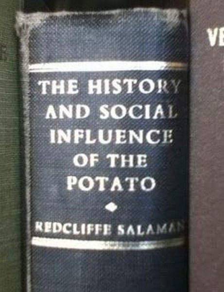 Acid Picdump (108 pics)