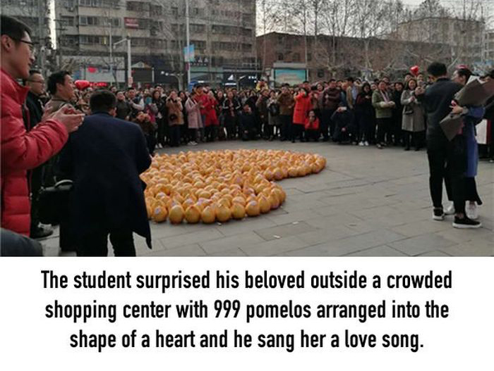 Guy Gets Rejected After Declaring His Love With 999 Pomelos (10 pics)