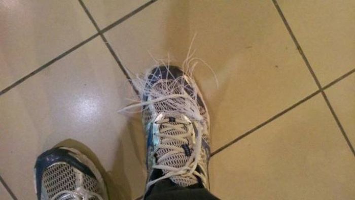 Escalators Really Are A Threat To Mankind (17 pics)