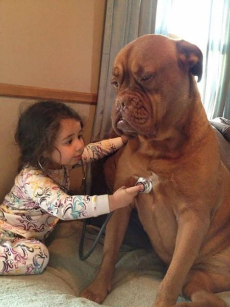Amusing Examples Of Pictures That Say A Thousand Words And A Whole Lot More (39 pics)