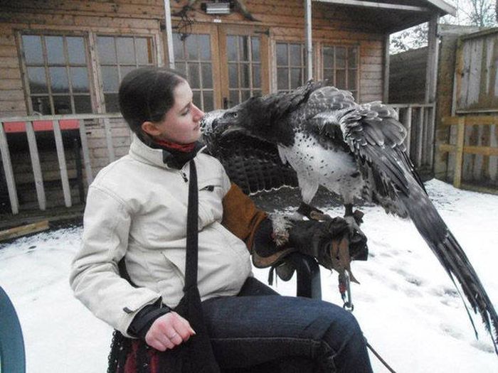 Amusing Examples Of Pictures That Say A Thousand Words And A Whole Lot More (39 pics)