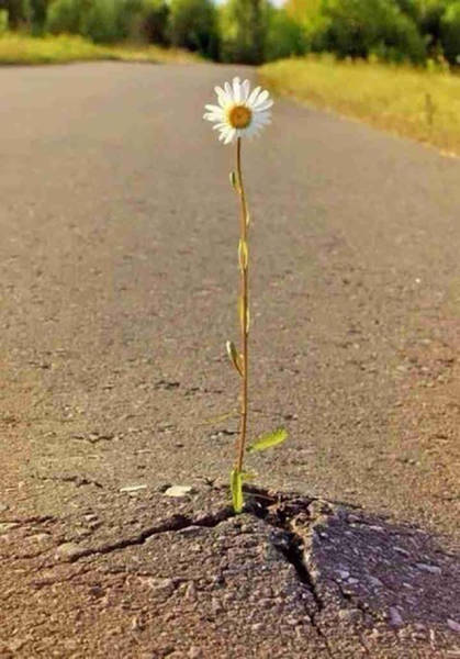 Amusing Examples Of Pictures That Say A Thousand Words And A Whole Lot More (39 pics)