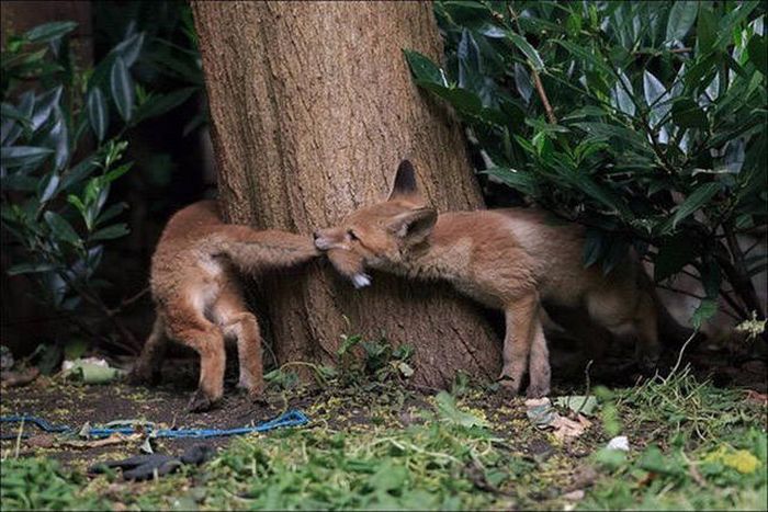 Amusing Examples Of Pictures That Say A Thousand Words And A Whole Lot More (39 pics)