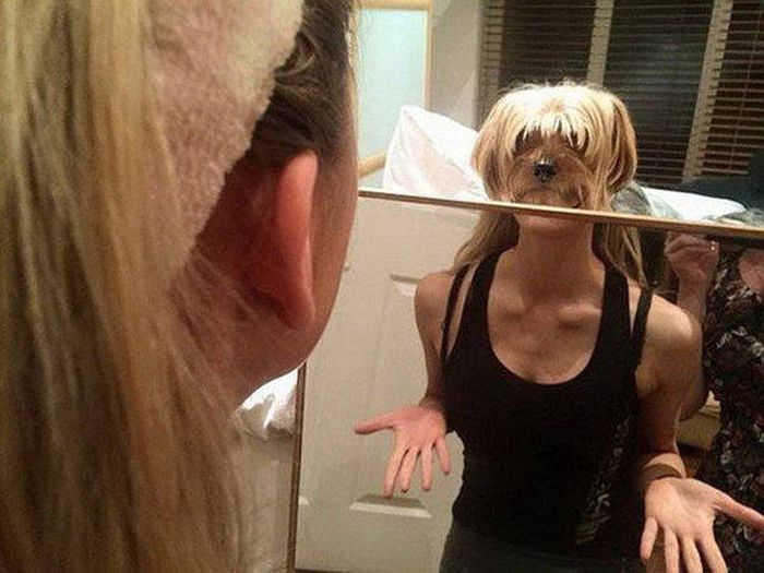 Amusing Examples Of Pictures That Say A Thousand Words And A Whole Lot More (39 pics)