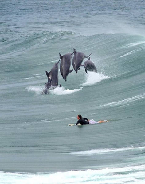 Amusing Examples Of Pictures That Say A Thousand Words And A Whole Lot More (39 pics)