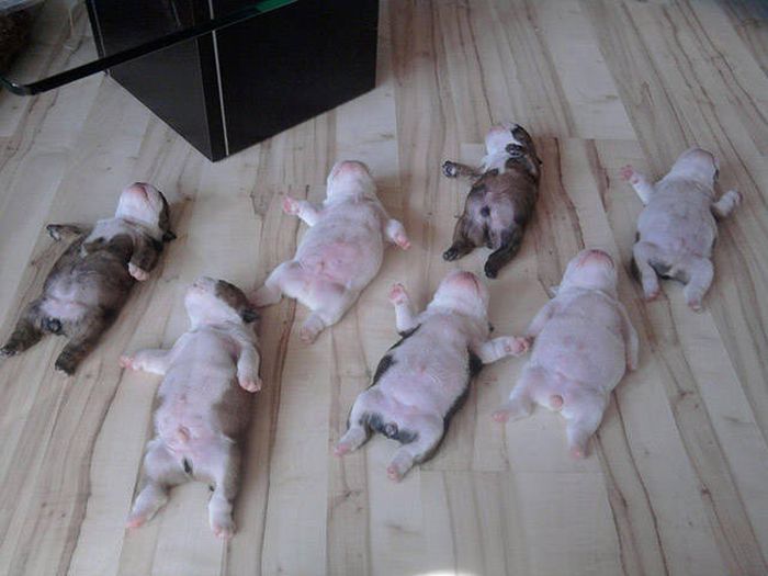 Amusing Examples Of Pictures That Say A Thousand Words And A Whole Lot More (39 pics)
