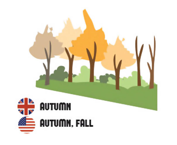 Differences Between American And British English That Confuse Everyone (50 pics)