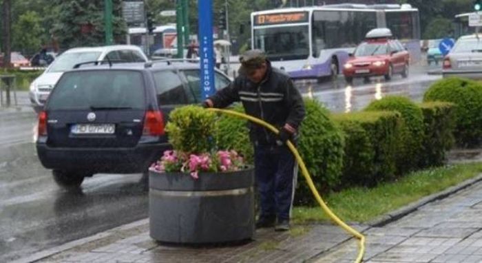 Acid Picdump (95 pics)
