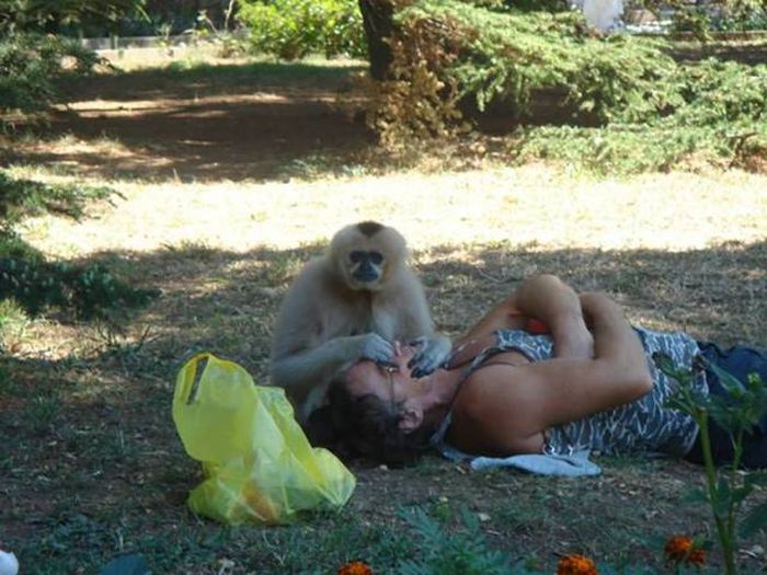 Acid Picdump (95 pics)