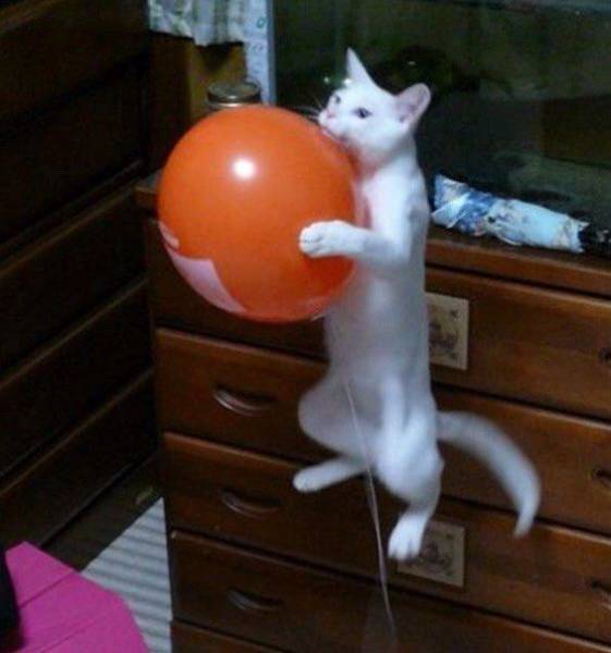 Acid Picdump (95 pics)