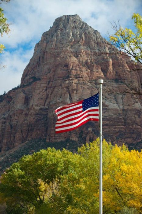 America Is The Land Of The Free And The Crazy (45 pics)