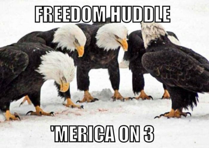 America Is The Land Of The Free And The Crazy (45 pics)
