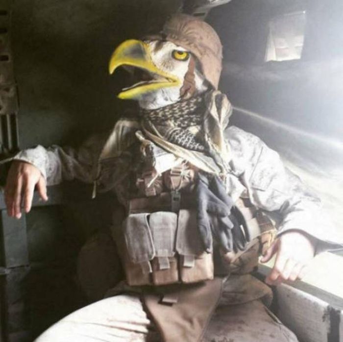 America Is The Land Of The Free And The Crazy (45 pics)