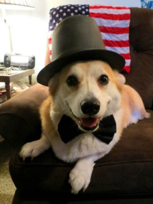 America Is The Land Of The Free And The Crazy (45 pics)