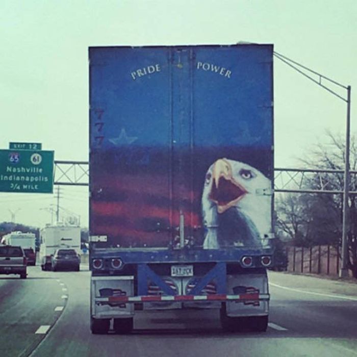 America Is The Land Of The Free And The Crazy (45 pics)