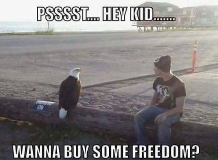 America Is The Land Of The Free And The Crazy (45 pics)