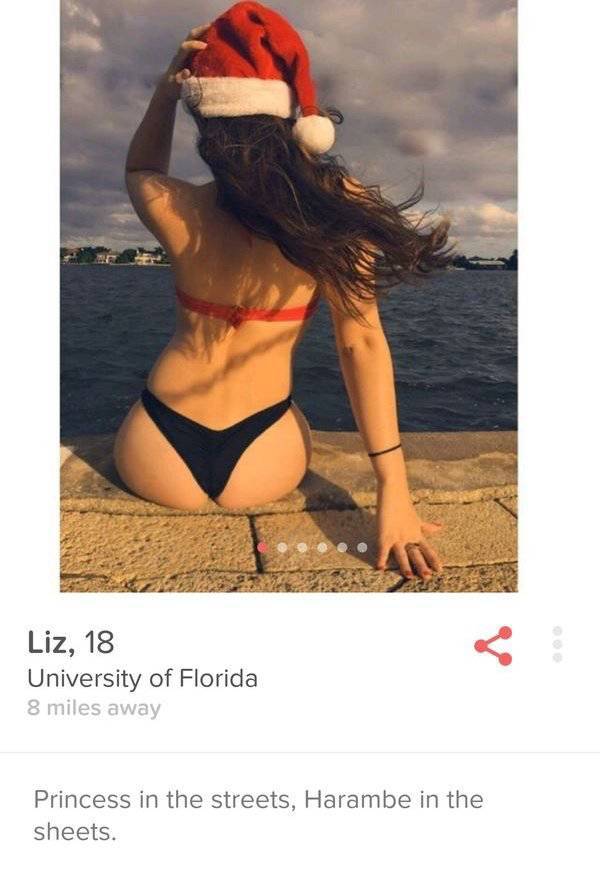 What You Can Expect To Find If You Look For Love On Tinder (30 pics)