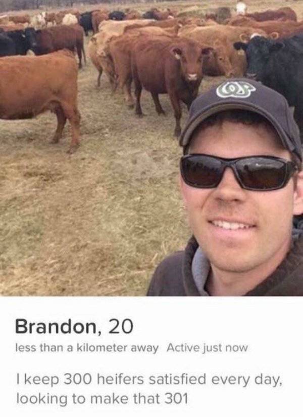 What You Can Expect To Find If You Look For Love On Tinder (30 pics)