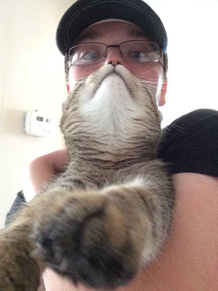 Acid Picdump (122 pics)