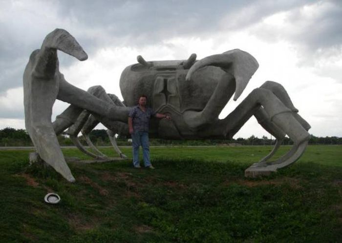 Acid Picdump (122 pics)
