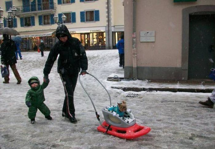 Acid Picdump (122 pics)