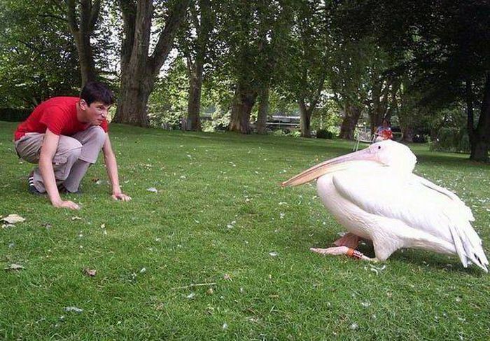 Acid Picdump (122 pics)