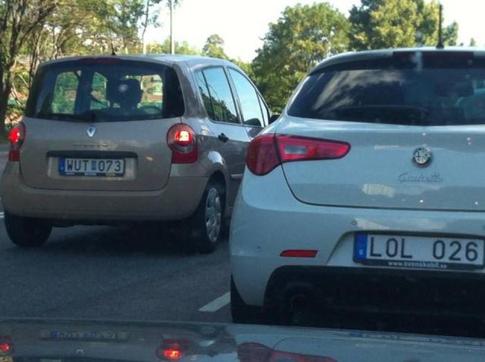 Acid Picdump (122 pics)