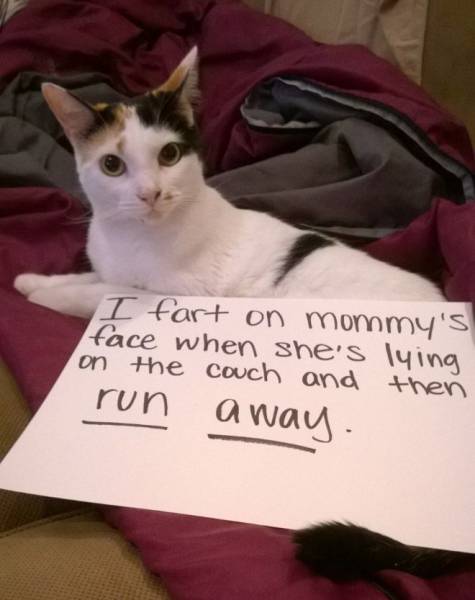 Acid Picdump (122 pics)